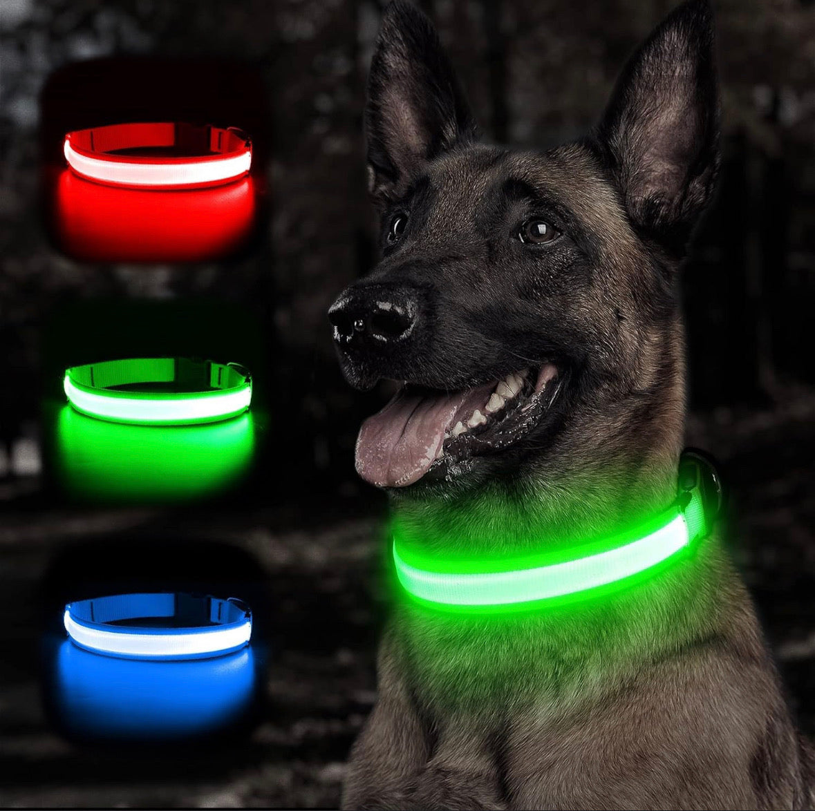 Louvico LED Collar for Dogs