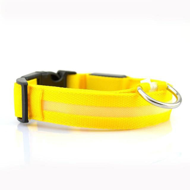Louvico LED Collar for Dogs