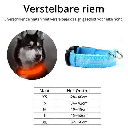 Louvico LED Collar for Dogs